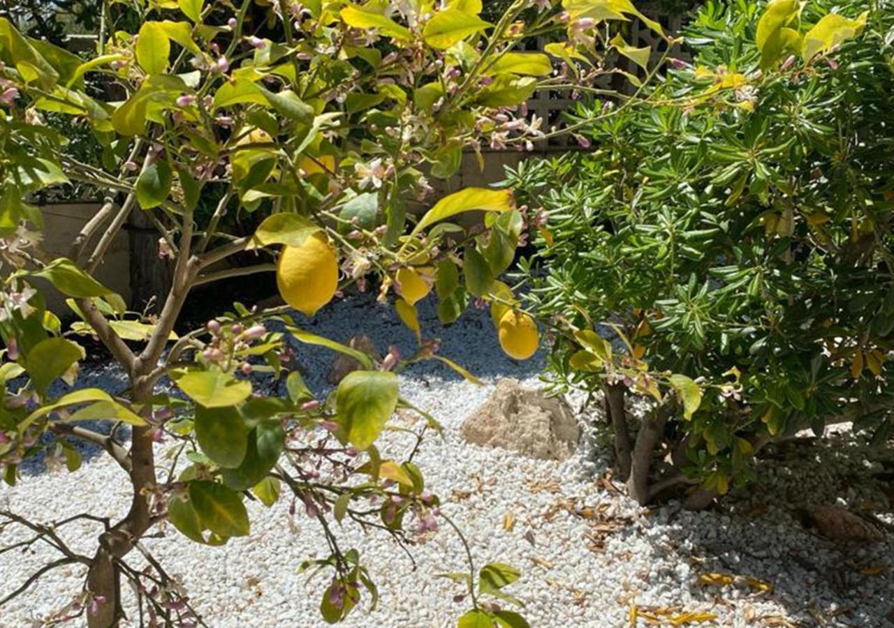 Holiday Villa Moraira Eksteriør bilde